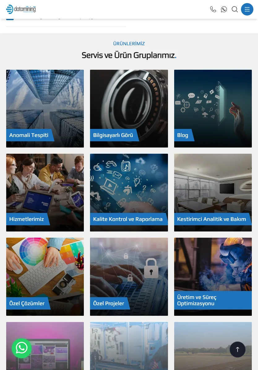 Homepage — tablet — section 2
