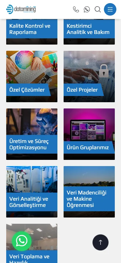 Homepage — mobile — section 2
